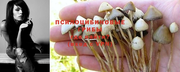 PSILOCYBIN Алзамай