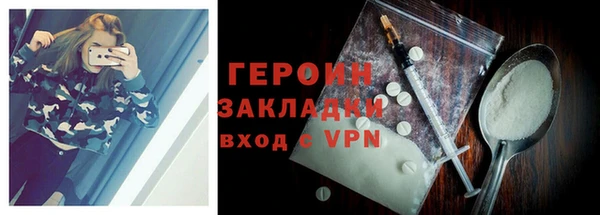индика Горнозаводск