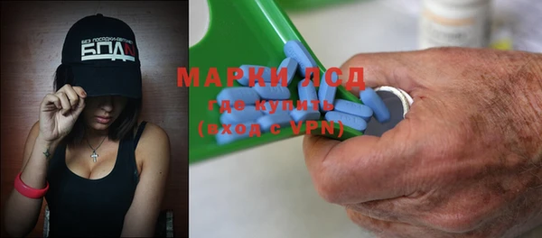 PSILOCYBIN Алзамай