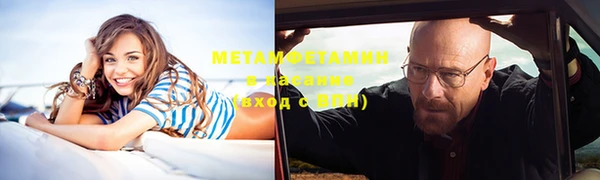 PSILOCYBIN Алзамай