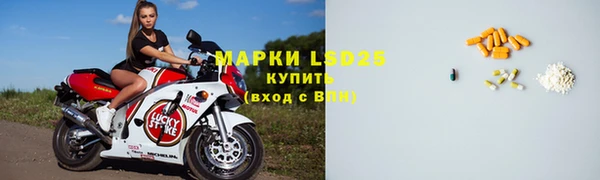 PSILOCYBIN Алзамай