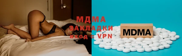 PSILOCYBIN Алзамай