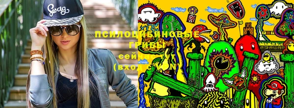 PSILOCYBIN Алзамай