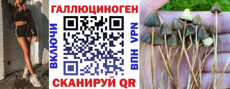 Галлюциногенные грибы ЛСД  Краснообск 